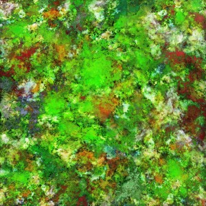 Slippery green rocks